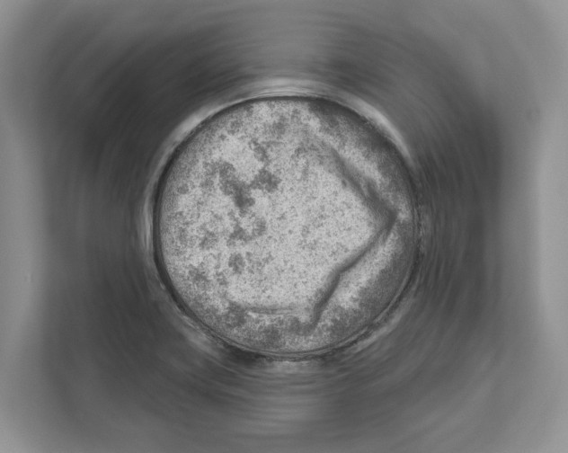 X0000111041419200907231526