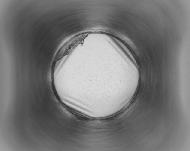 X0000111041420200907231526