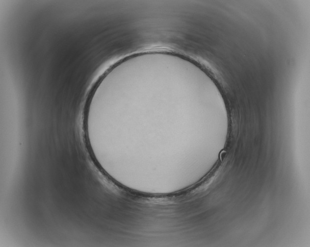 X0000111041422200907231526