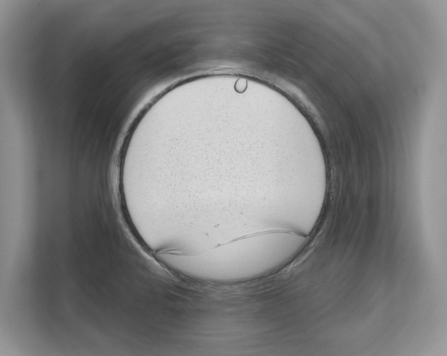 X0000111041424200907231526