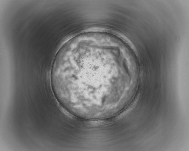 X0000111041425200907231526