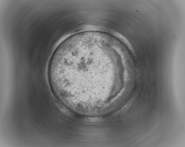 X0000111041427200907231526