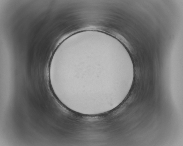 X0000111041428200907231526