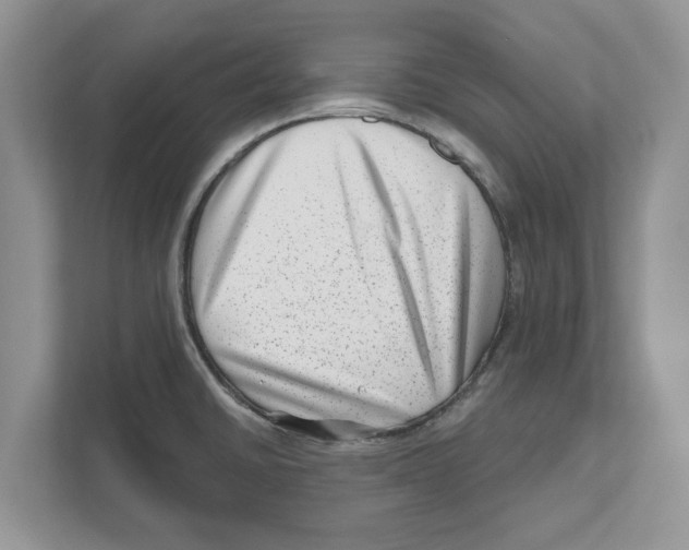 X0000111041430200907231526