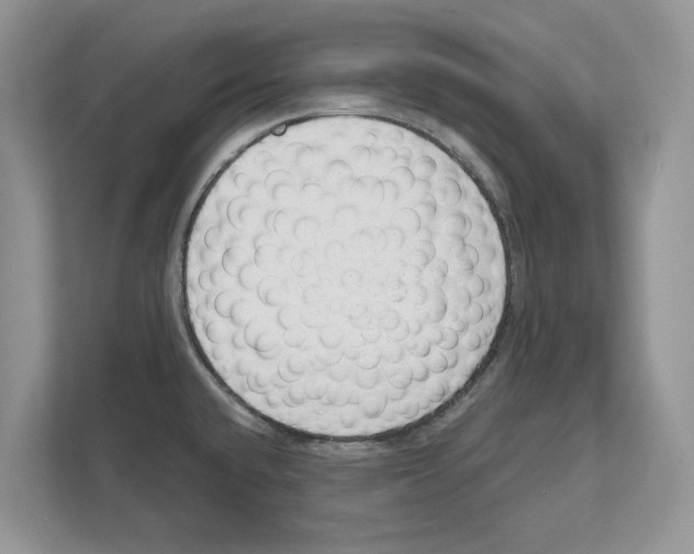 X0000111041432200907231526