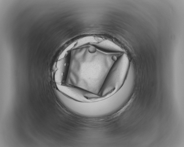 X0000111041449200907231526