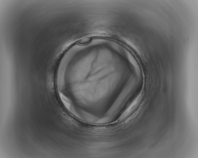 X0000111041455200907231525