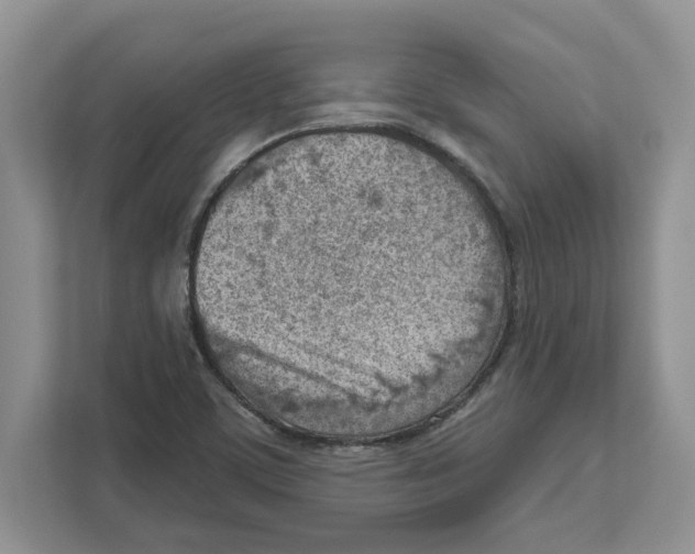 X0000111041459200907231525