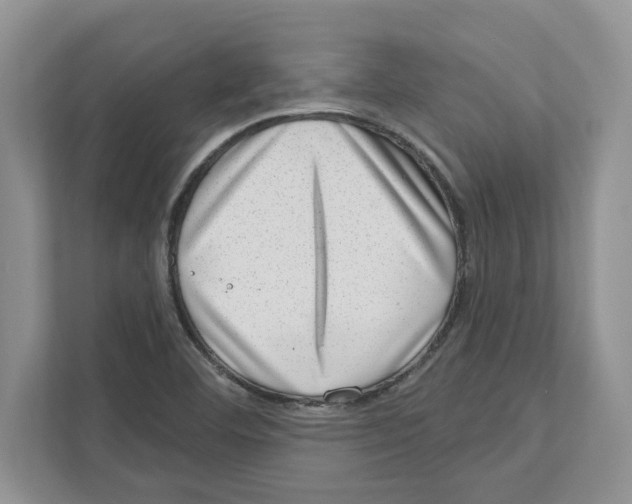 X0000111041460200907231525