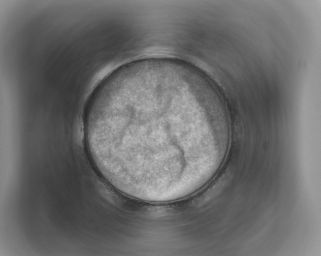 X0000111041461200907231525