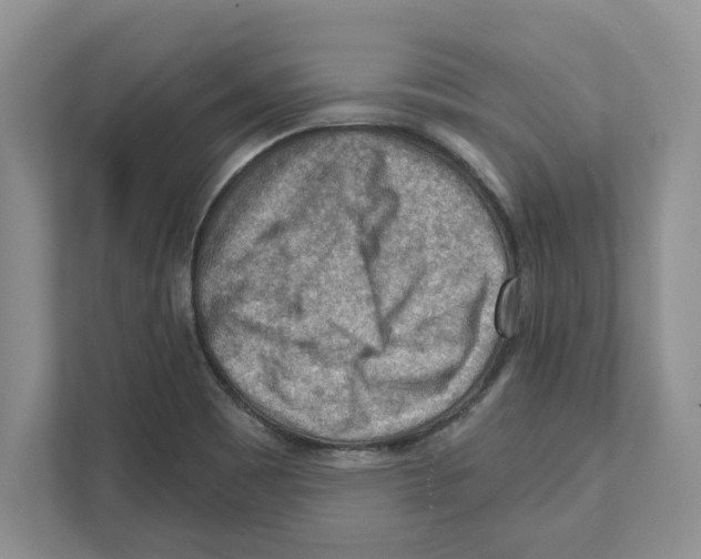 X0000111041465200907231525