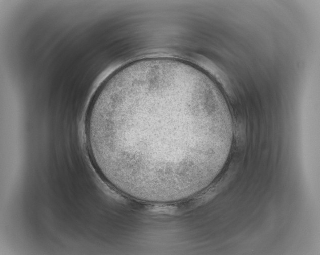 X0000111041466200907231525