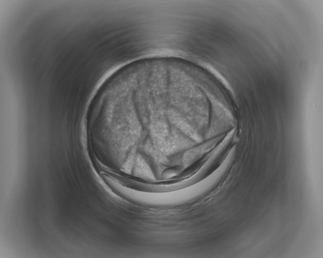 X0000111041468200907231525