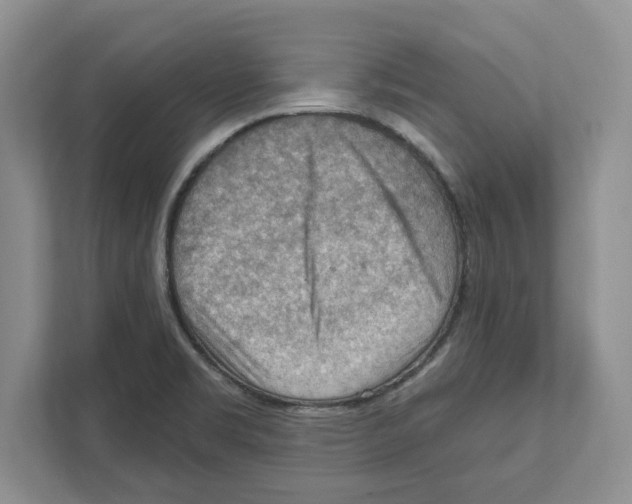 X0000111041469200907231525