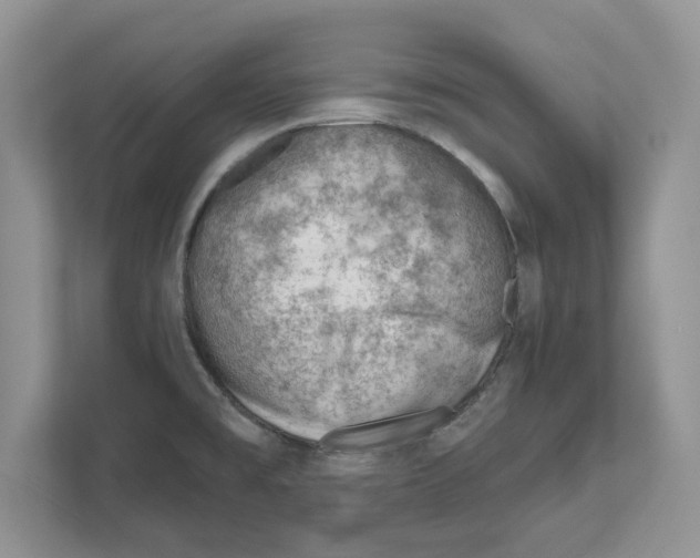 X0000111041477200907231525