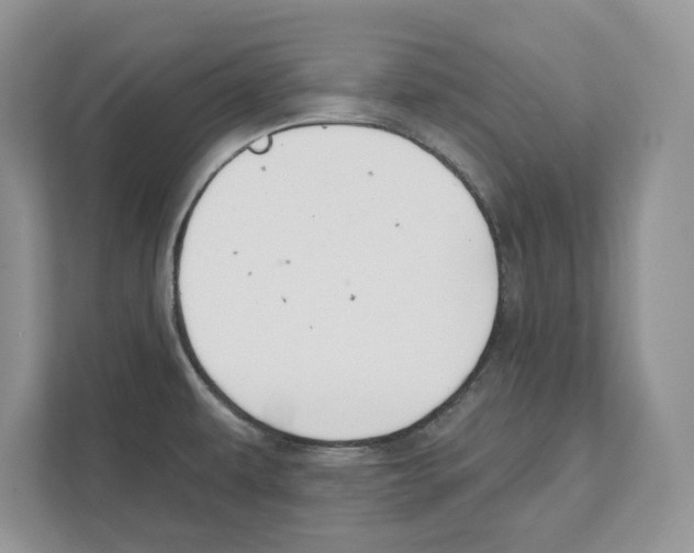 X0000111041479200907231525