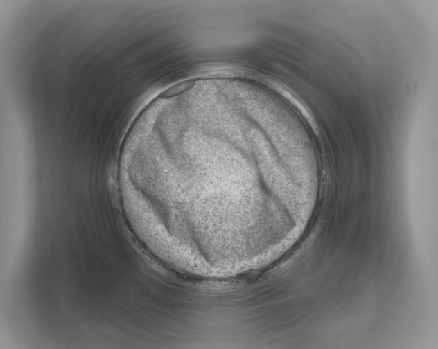 X0000111041481200907231525