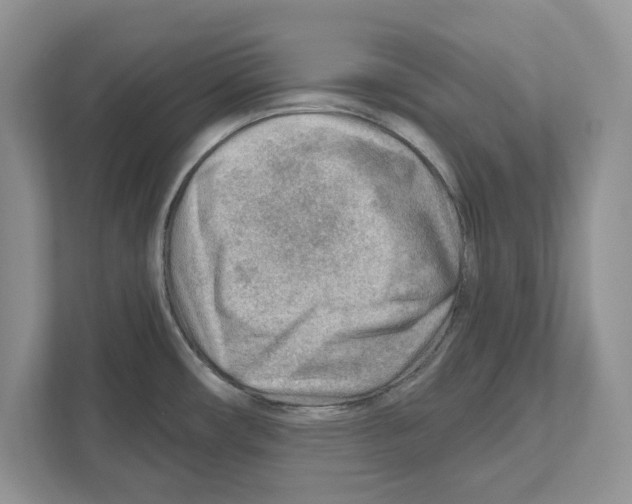 X0000111041482200907231525