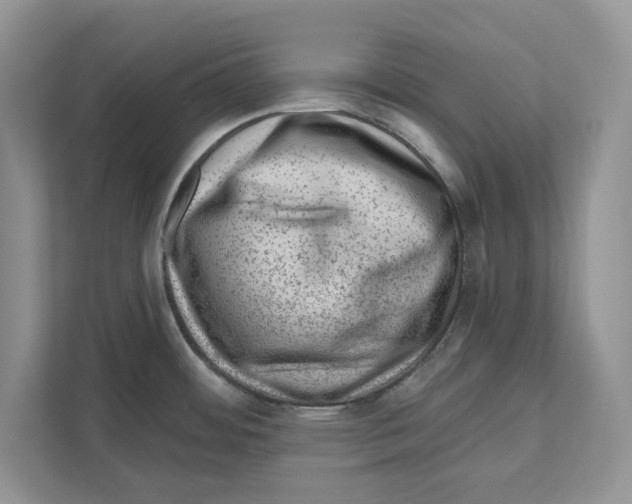 X0000111041484200907231525