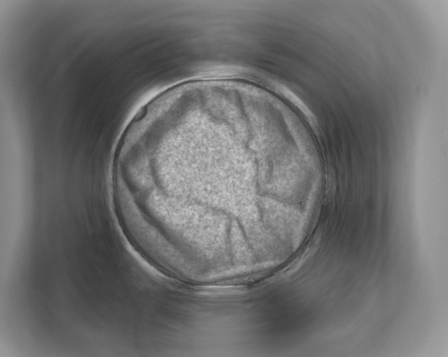 X0000111041487200907231525