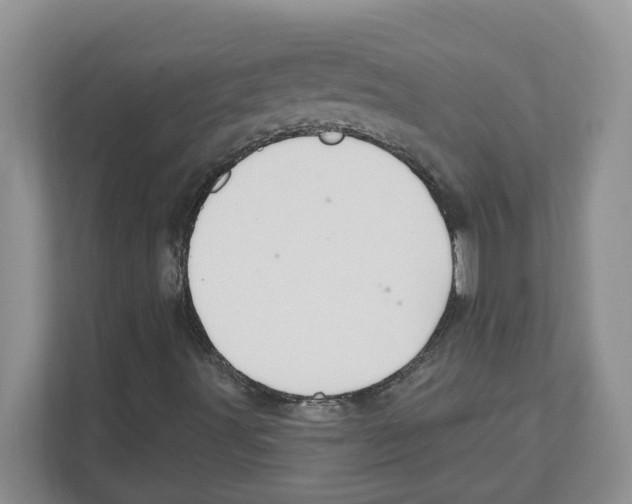 X0000111041491200907231524