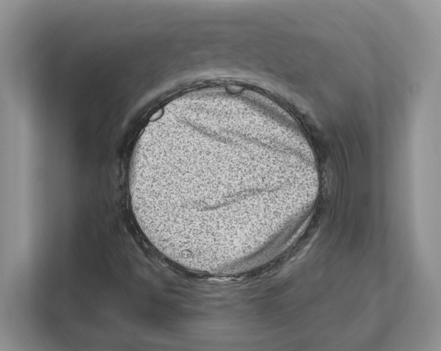 X0000111041494200907231525