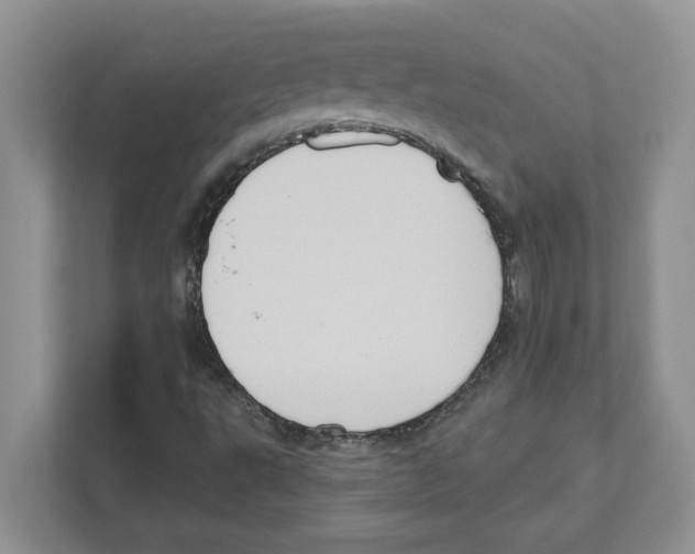 X0000111041495200907231525