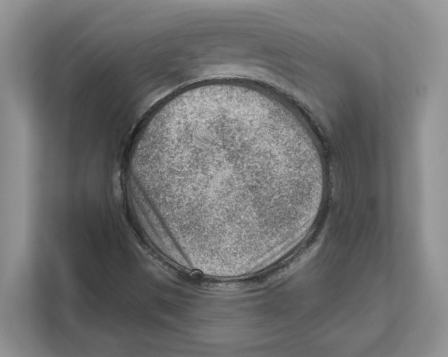 X0000111041497200907231525