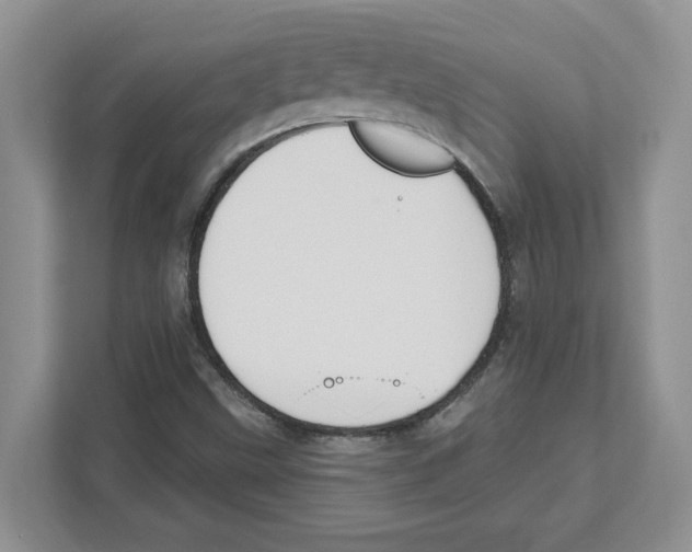 X0000111041499200907231525