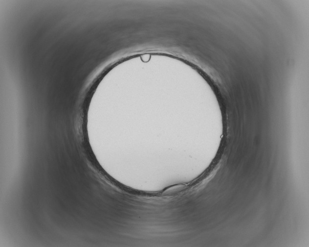 X0000111041502200907231525