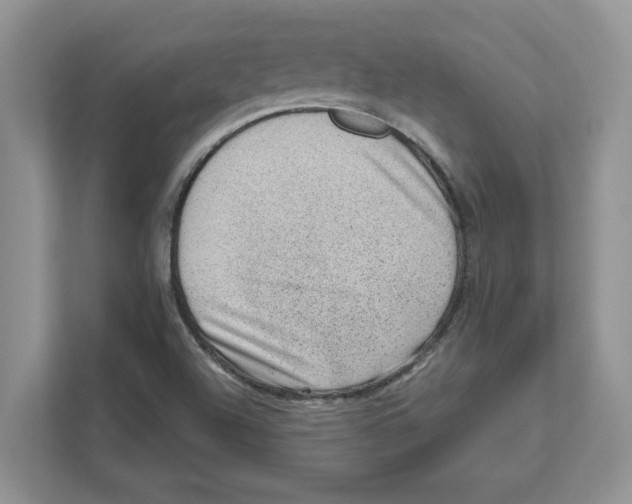 X0000111041504200907231525