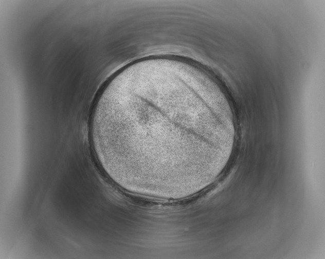 X0000111041505200907231525