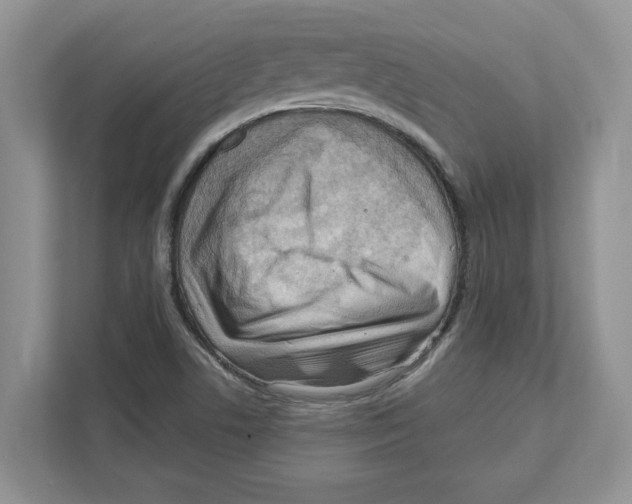 X0000111041506200907231525