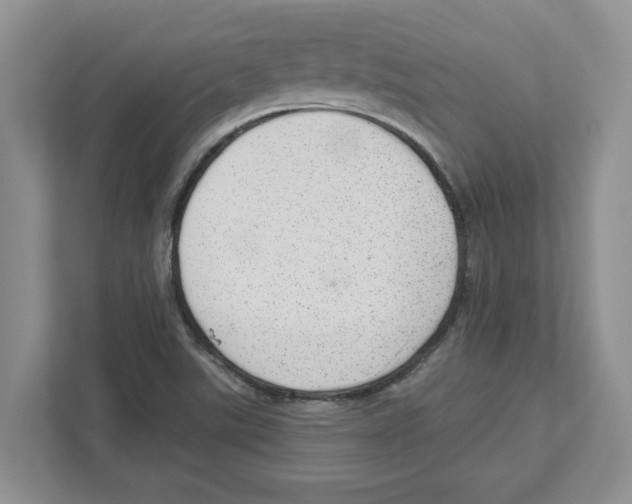 X0000111041507200907231525