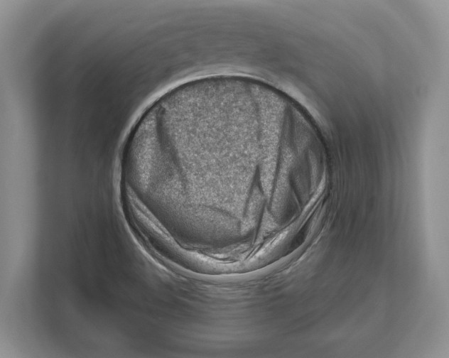 X0000111041508200907231525