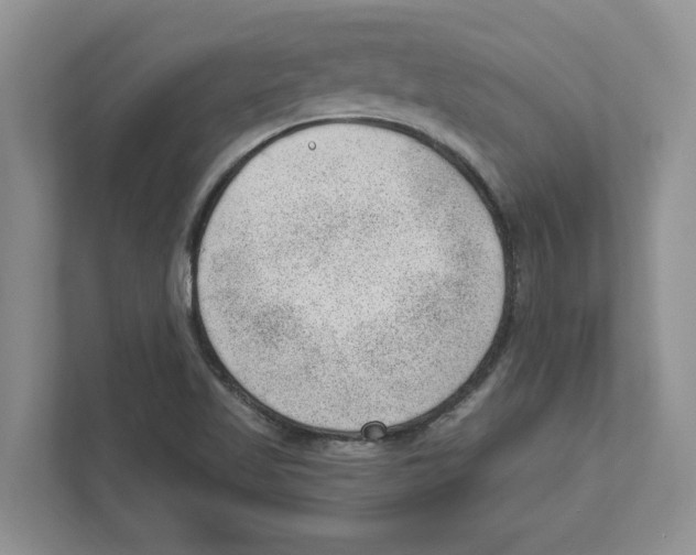 X0000111041509200907231525