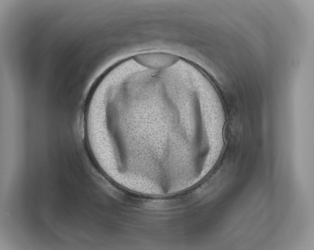 X0000111041510200907231525