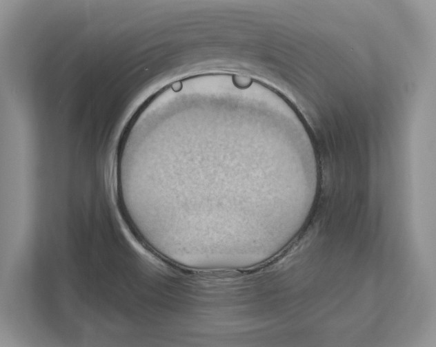 X0000111041515200907231525