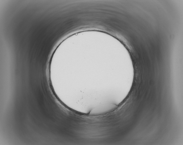 X0000111041516200907231525