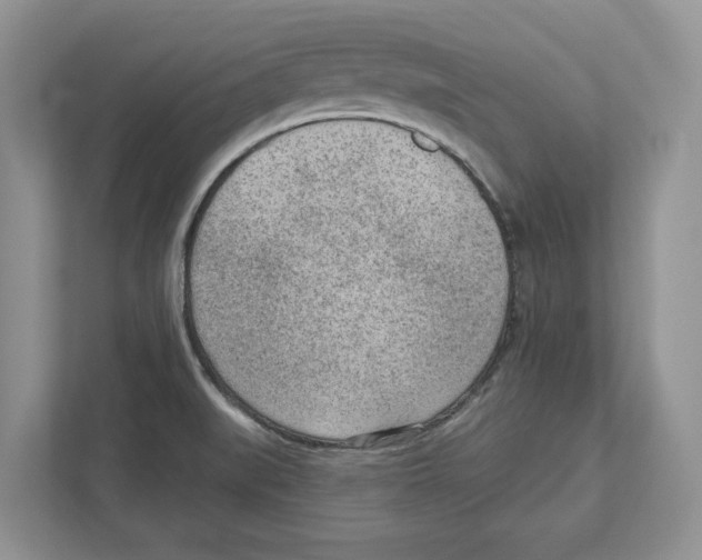 X0000111041519200907231525