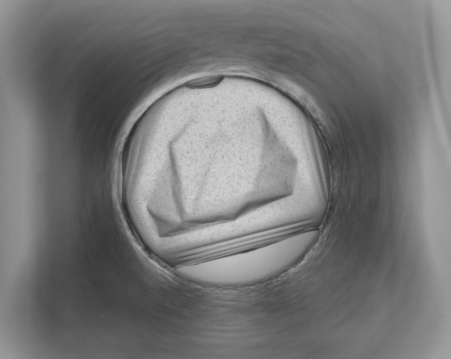 X0000111041520200907231525