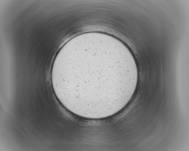 X0000111041521200907231525