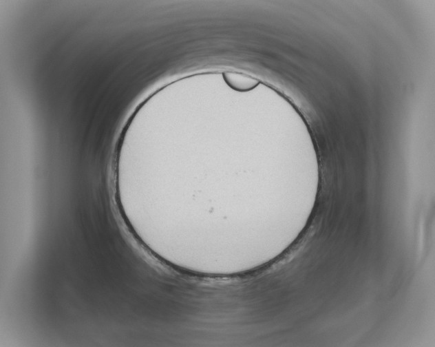 X0000111041526200907231525