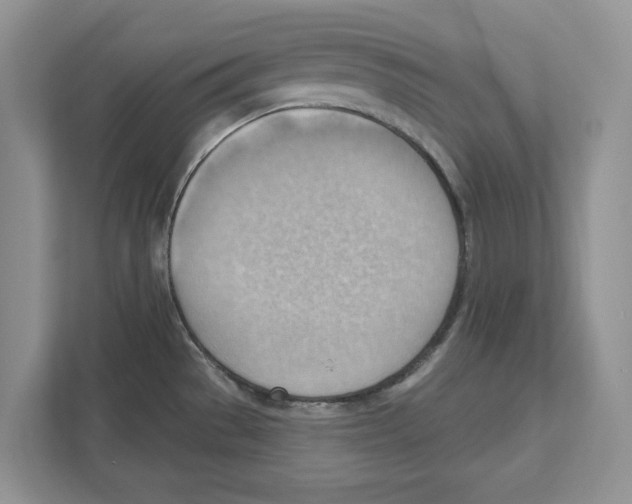 X0000111041529200907231525