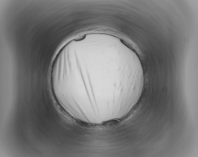 X0000111041530200907231525