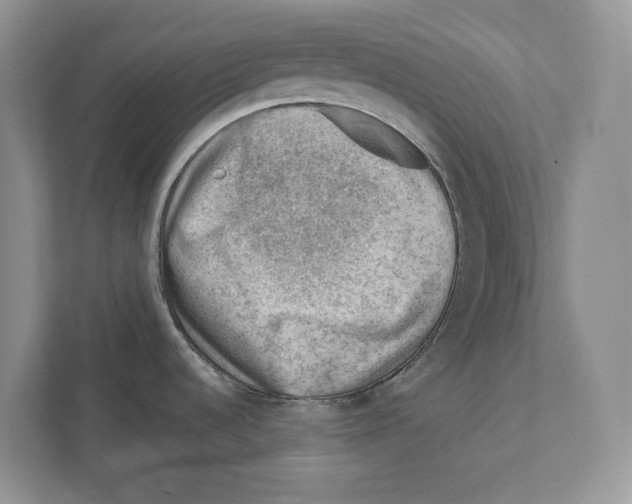 X0000111041536200907231525