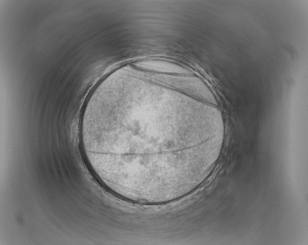 X0000111040002200908061506