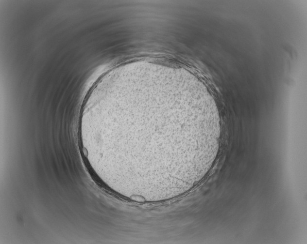 X0000111040003200908061506