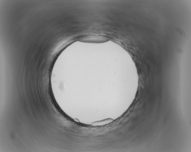 X0000111040005200908061506