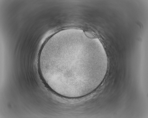 X0000111040006200908061506